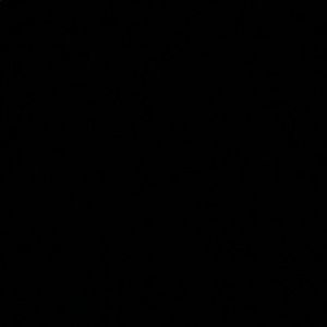 Meet your Posher, Carolcarol